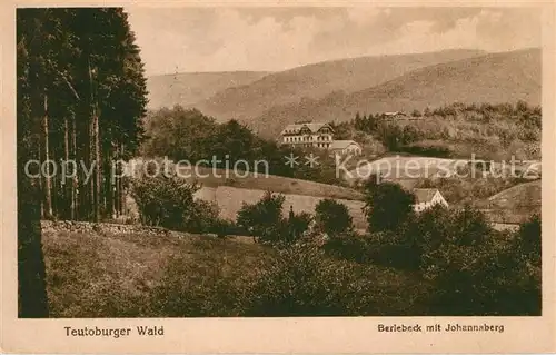 AK / Ansichtskarte Teutoburgerwald Berlebeck mit Johannaberg Kat. Detmold