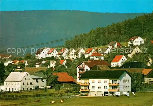 AK / Ansichtskarte Friedenfels Panorama Kat. Friedenfels