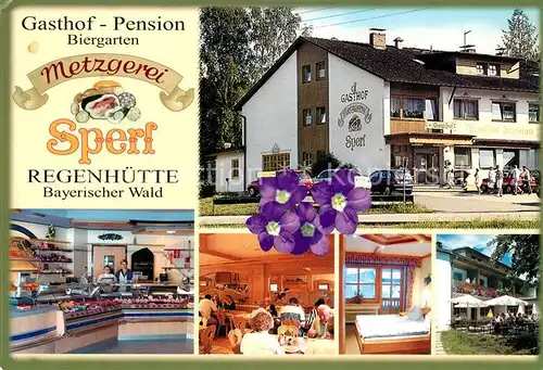 AK / Ansichtskarte Regenhuette Bayerisch Eisenstein Gasthaus Pension Metzgerei Kat. Bayerisch Eisenstein