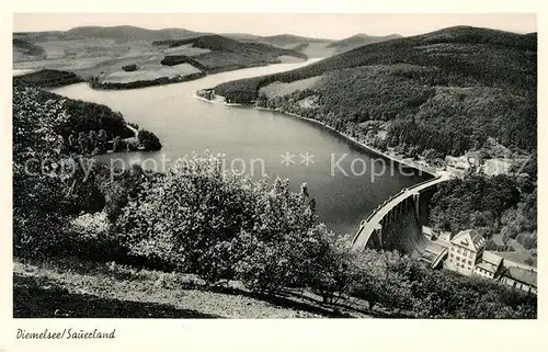 AK / Ansichtskarte Diemelsee Fliegeraufnahme Kat. Diemelsee