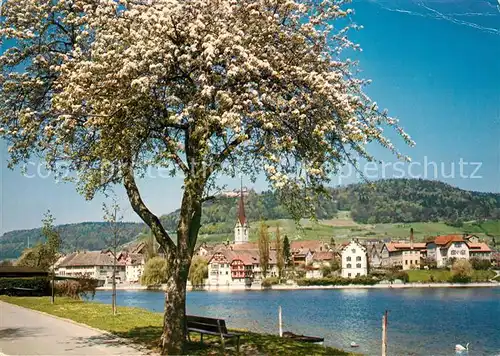 AK / Ansichtskarte Stein Rhein Panorama Kat. Stein Rhein