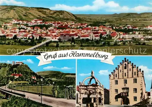 AK / Ansichtskarte Hammelburg  Kat. Hammelburg