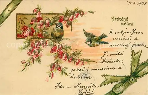 AK / Ansichtskarte Glueckwunsch Blaumeisen Blumen Litho Kat. Greetings