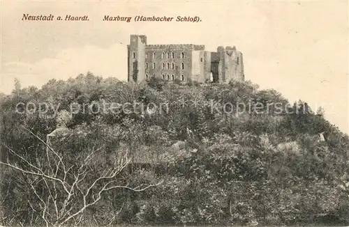 AK / Ansichtskarte Neustadt Haardt Maxburg Hambacher Schloss Kat. Neustadt an der Weinstr.