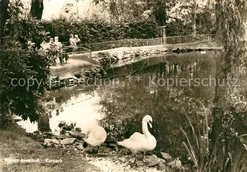 AK / Ansichtskarte Jonsdorf Kurpark Schwanenteich Kat. Kurort Jonsdorf