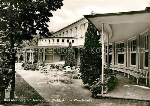 AK / Ansichtskarte Bad Meinberg Wandelhalle Kat. Horn Bad Meinberg