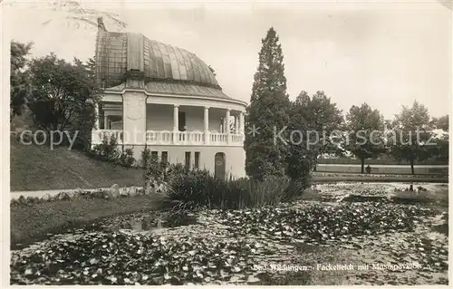 AK / Ansichtskarte Bad Wildungen Fackelteich mit Musikpavillon Kat. Bad Wildungen