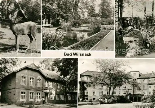 AK / Ansichtskarte Bad Wilsnack Tierpark Park Haus Birkengrund Goethehaus Kat. Bad Wilsnack