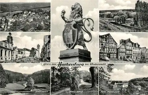 AK / Ansichtskarte Hachenburg Westerwald Alter Markt Landschaftspanorama mit Niester Schloss Abtei Marienstatt Fachwerkhaeuser Schwimmbad Krankenhaus Loewe Wappen Kat. Hachenburg