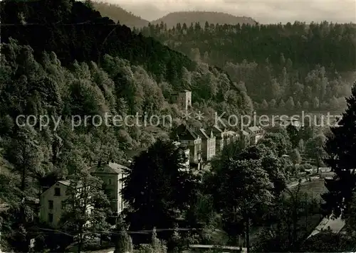 AK / Ansichtskarte Bad Schandau Badallee Kat. Bad Schandau