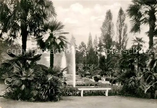 AK / Ansichtskarte Bad Pyrmont Palmengarten Kat. Bad Pyrmont