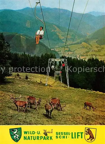 AK / Ansichtskarte Sessellift Mautern Wild  und Naturpark Hirsche  Kat. Bahnen