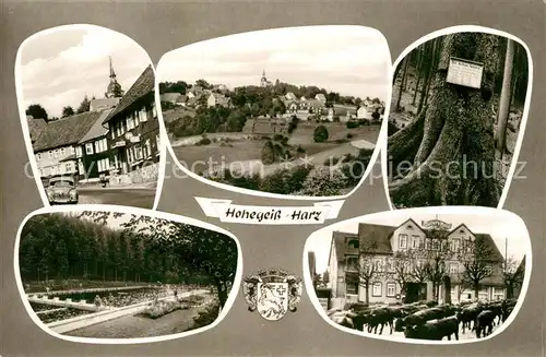 AK / Ansichtskarte Hohegeiss Harz Muellers Hotel Schwimmbad Kat. Braunlage