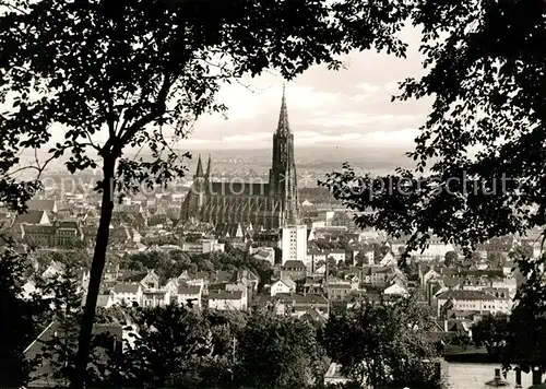 AK / Ansichtskarte Ulm Donau Muenster Kat. Ulm