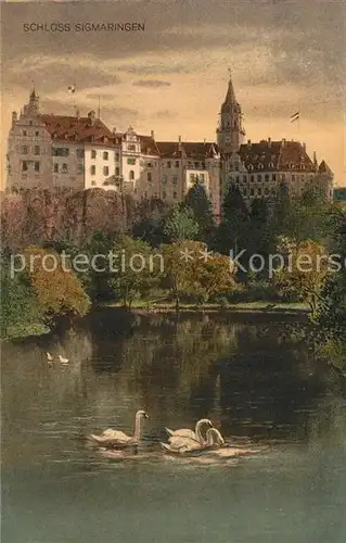 AK / Ansichtskarte Sigmaringen Schloss Sigmaringen Schwanenteich Kat. Sigmaringen