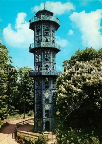 AK / Ansichtskarte Loebau Sachsen Aussichtsturm auf dem Loebauer Berg Kat. Loebau