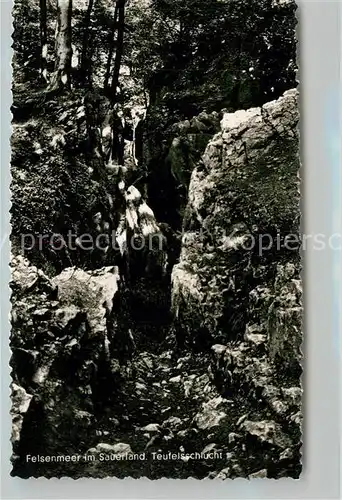 AK / Ansichtskarte Sauerland Felsenmeer Teufelsschlucht