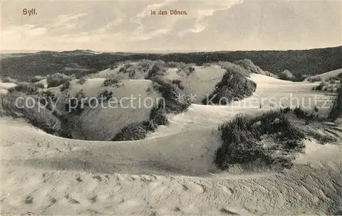 AK / Ansichtskarte Insel Sylt Duenen Kat. Westerland