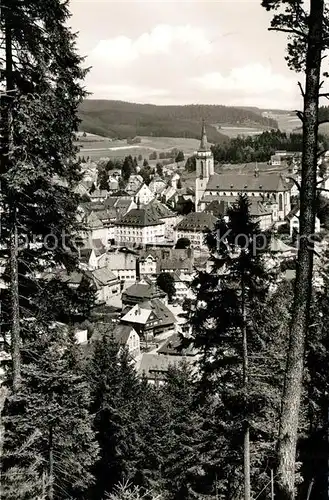 AK / Ansichtskarte Neustadt Schwarzwald Panorama