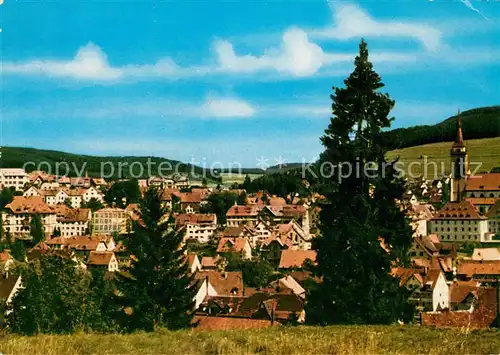 AK / Ansichtskarte Neustadt Schwarzwald Panorama