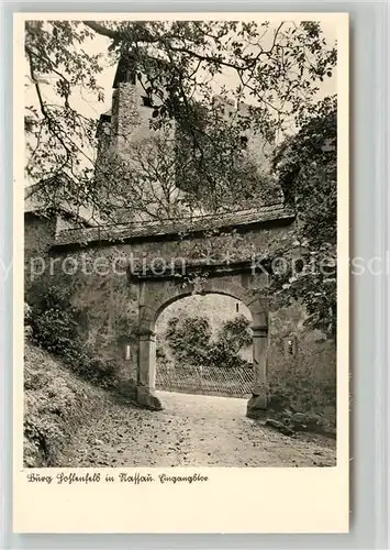 AK / Ansichtskarte Nassau Bad Burg Hohlenfels Kat. Nassau Lahn