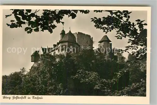 AK / Ansichtskarte Nassau Bad Burg Hohlenfels Kat. Nassau Lahn