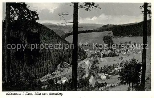 AK / Ansichtskarte Wildemann Blick vom Hasenberg Kat. Wildemann Harz