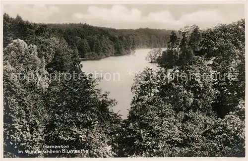 AK / Ansichtskarte Blumenthal Niederelbe Gamensee Kat. Burweg