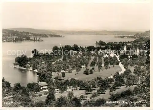 AK / Ansichtskarte Mammern Panorama Untersee Bodensee Kat. Mammern