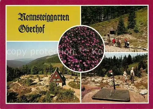 AK / Ansichtskarte Oberhof Thueringen Rennsteiggarten Gaststaette Sonnenuhr Gebirgsflora Wandern Kat. Oberhof Thueringen