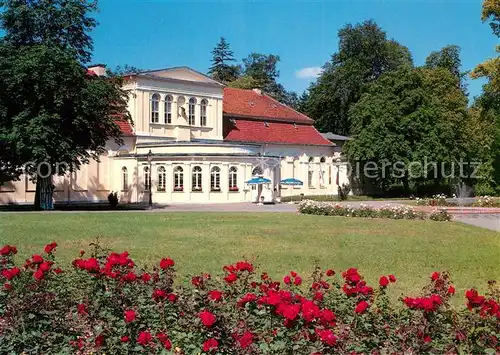 AK / Ansichtskarte Neustrelitz Restaurant Orangerie Rosenbeet Park Kat. Neustrelitz