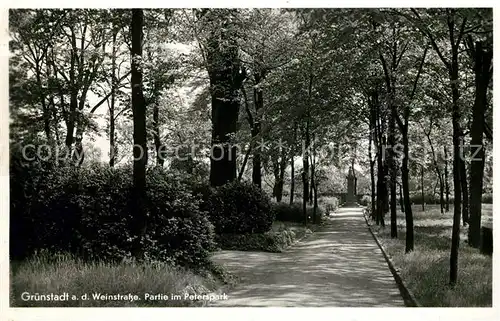 AK / Ansichtskarte Gruenstadt Peterspark Kat. Gruenstadt