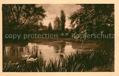 AK / Ansichtskarte Veitshoechheim Hofgarten See mit Wasserturm Schwaene Kat. Veitshoechheim