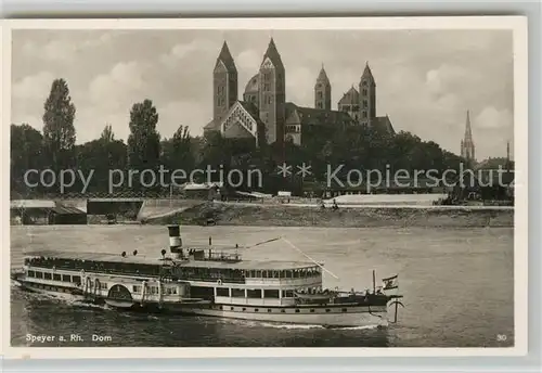 Speyer Rhein Dom Dampfer Kat. Speyer