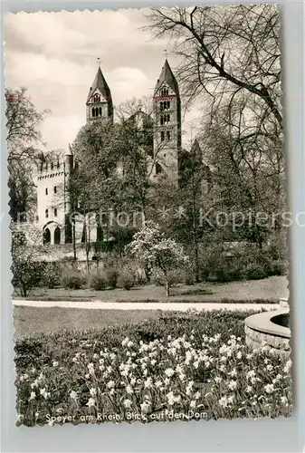 Speyer Rhein Dom Park Kat. Speyer