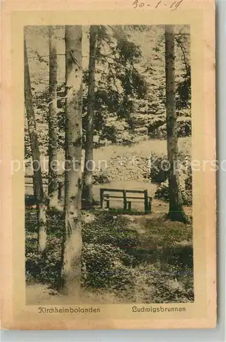 AK / Ansichtskarte Gruenstadt Ludwigsbrunnen Kat. Gruenstadt