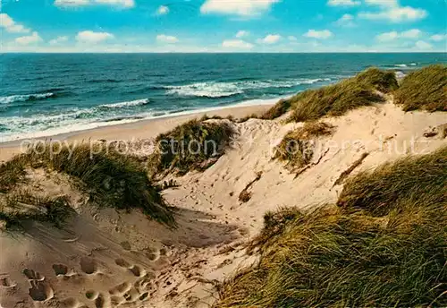 Insel Sylt Duenen und Meer Natur Kat. Westerland