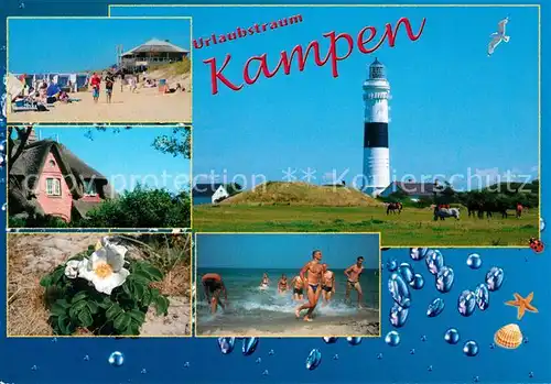 Kampen Sylt Strand Leuchtturm Pferde Muscheln Blumen Friesenhaus Kat. Kampen (Sylt)