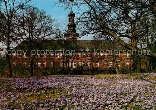 Husum Nordfriesland Krokusbluete Schlosspark Kat. Husum