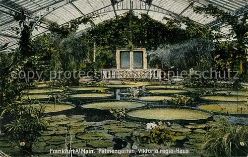 AK / Ansichtskarte Frankfurt Main Palmenhaus Viktoria Regis Haus Kat. Frankfurt am Main