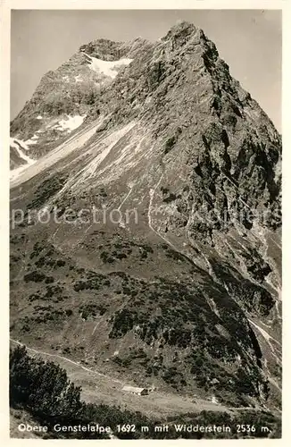 AK / Ansichtskarte Kleinwalsertal Widdenstein Obere Genstelalpe Kat. Oesterreich