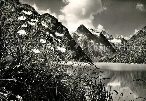 AK / Ansichtskarte Grimsel Pass Sommer auf der Grimsel Kat. Grimsel