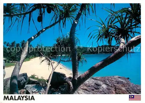 AK / Ansichtskarte Malaysia Malaya Strandpartie Kat. Malaysia