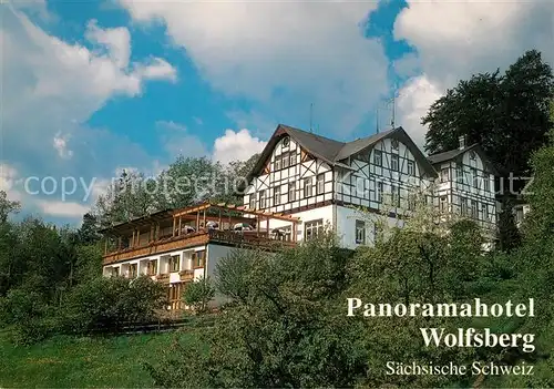 AK / Ansichtskarte Reinhardtsdorf Bad Schandau Panoramahotel Wolfsberg Kat. Reinhardtsdorf Schoena