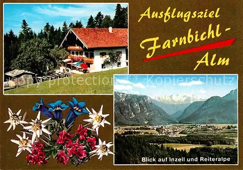 AK / Ansichtskarte Inzell Farnbichl Alm Fliegeraufnahme mit Reiteralpe Kat. Inzell