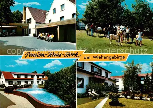 AK / Ansichtskarte Bad Holzhausen Luebbecke Pension Haus Stork am Wiehengebirge Ponys Kat. Preussisch Oldendorf