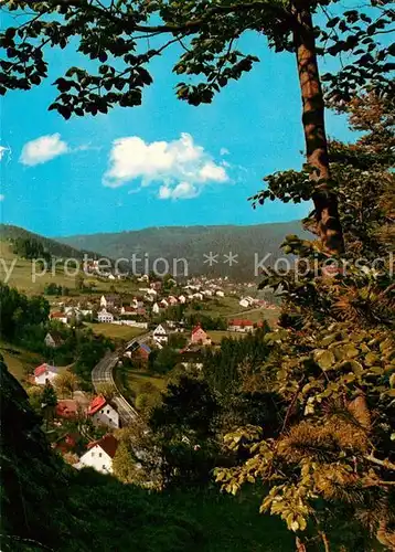 AK / Ansichtskarte Warmensteinach Blick vom Hoellfelsen Warmensteinach Kat. Warmensteinach Fichtelgebirge