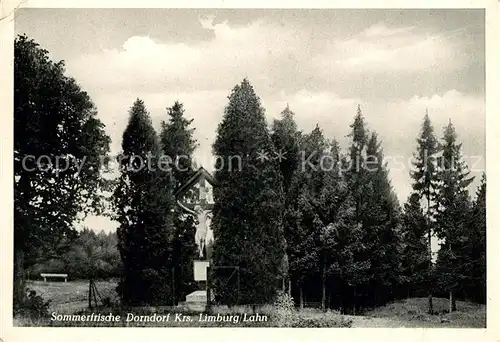 AK / Ansichtskarte Dorndorf Westerwald Sommerfrische Inri Waldweg Dorndorf Westerwald