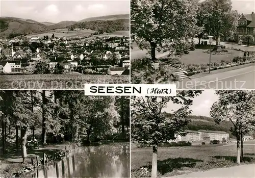 AK / Ansichtskarte Seesen Harz Panorama Denkmal Partie am Weiher Seesen Harz Kat. Seesen