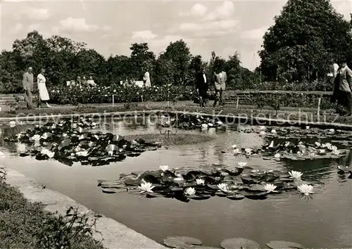 Essen Ruhr Botanischer Garten Essen Ruhr Kat. Essen